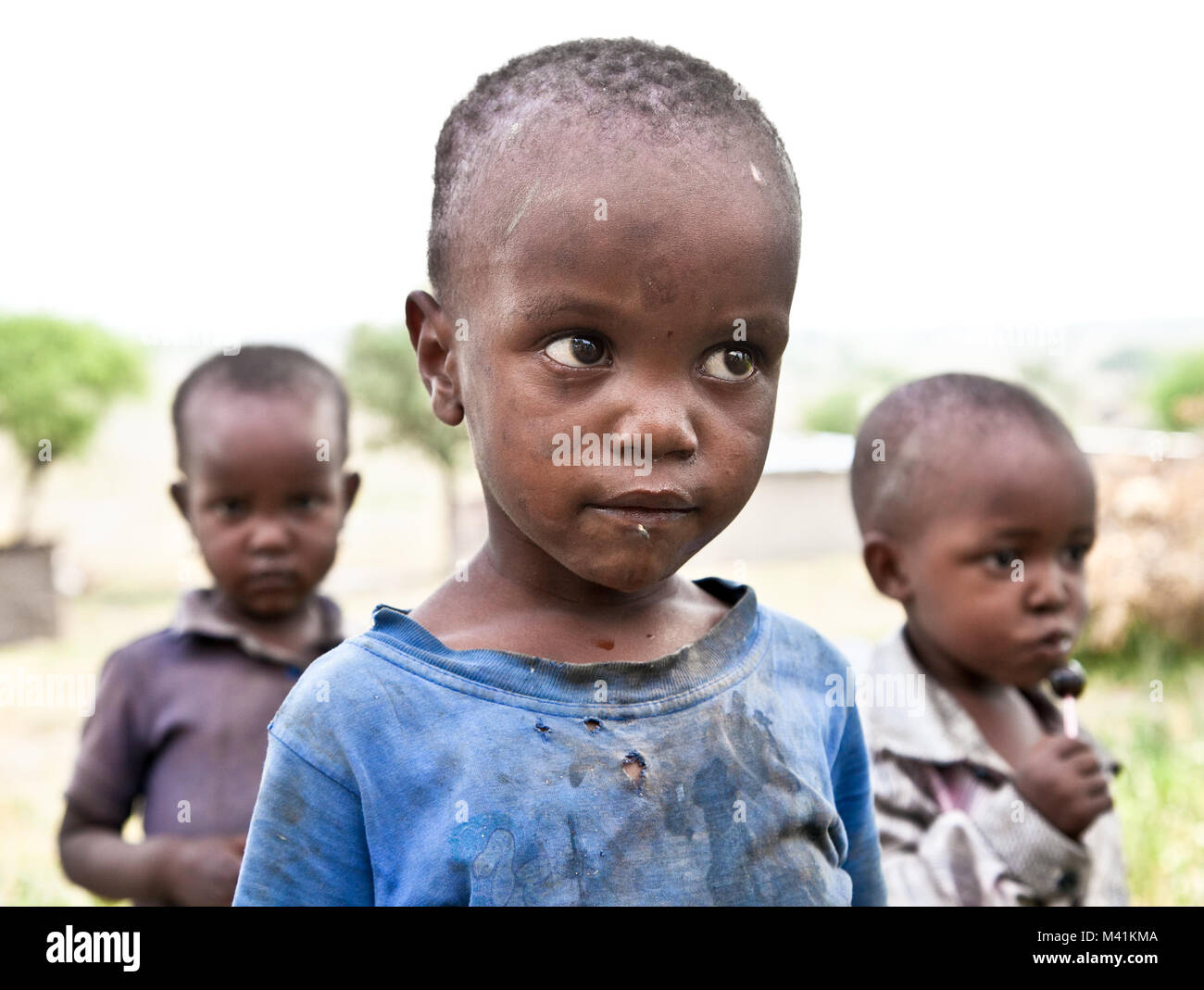 Cow dung africa Fotos und Bildmaterial in hoher Auflösung Alamy