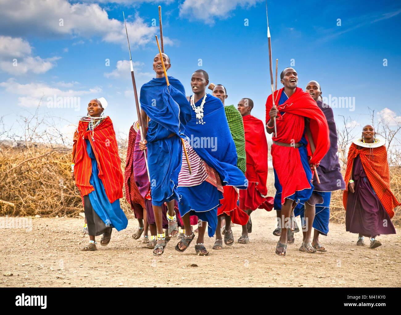 Tansania, Afrika - Februar 9, 2014: Masai Krieger tanzen traditionelle Sprünge, wie kulturelle Zeremonie, Überprüfung des täglichen Lebens der Menschen vor Ort Am 9. Stockfoto