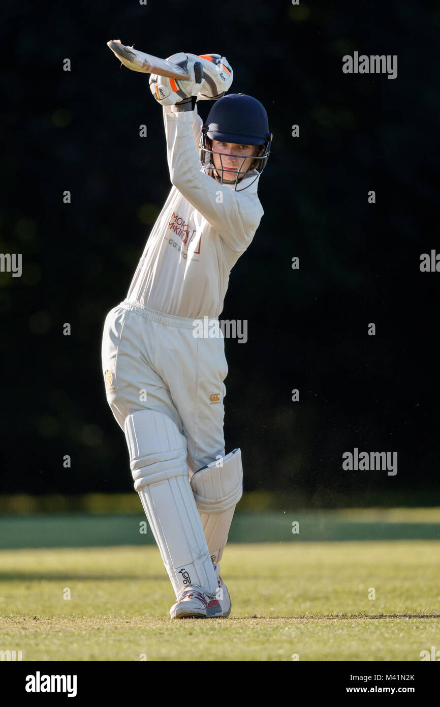 Kricket Batsman in Aktion. Stockfoto