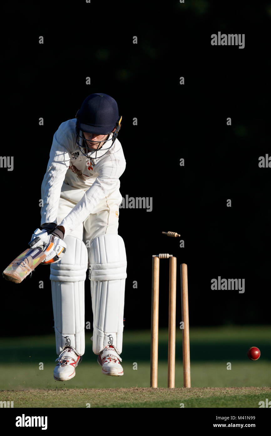 Kricket Batsman wird gerollt. Stockfoto