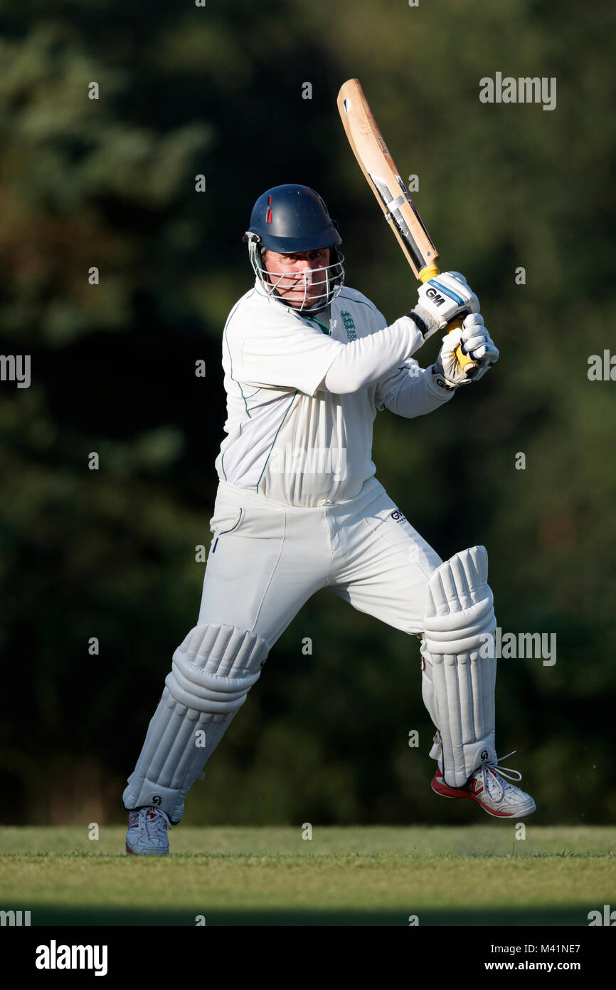 Kricket Batsman in Aktion. Stockfoto