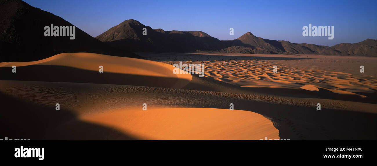 Niger, Sahara, Tenere Wüste, die Sanddünen der blendet (Crab Claw) am Rand des Bereichs Air-Gebirge Stockfoto