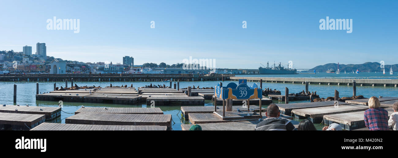 San Francisco, CA - 03 Februar: Touristen sammeln wie Seelöwen frolick in der San Francisco Bay am Pier 39 zu sehen Stockfoto