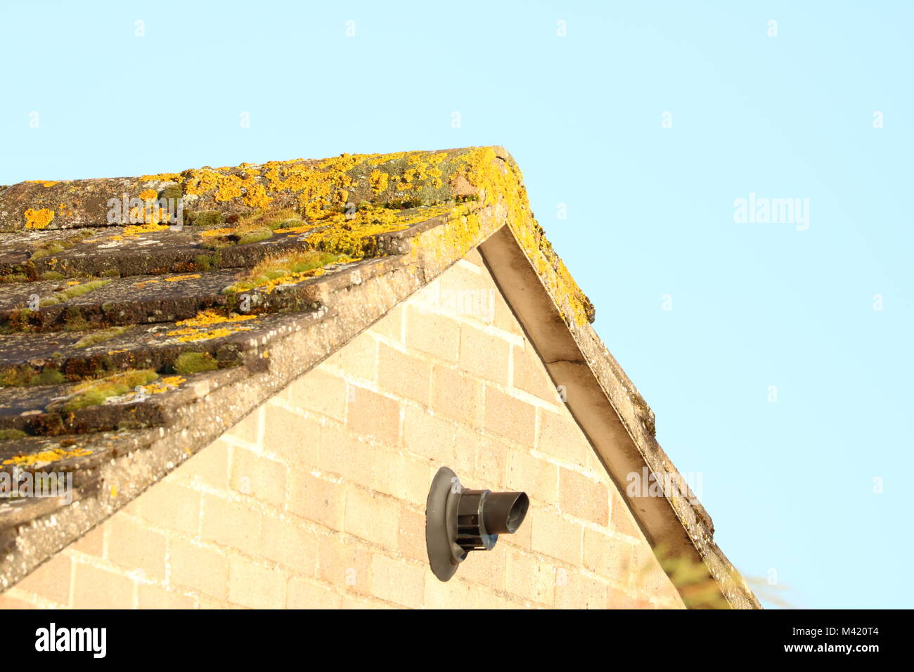 Gable End der Dach in Moss vor blauem Himmel bedeckt Stockfoto