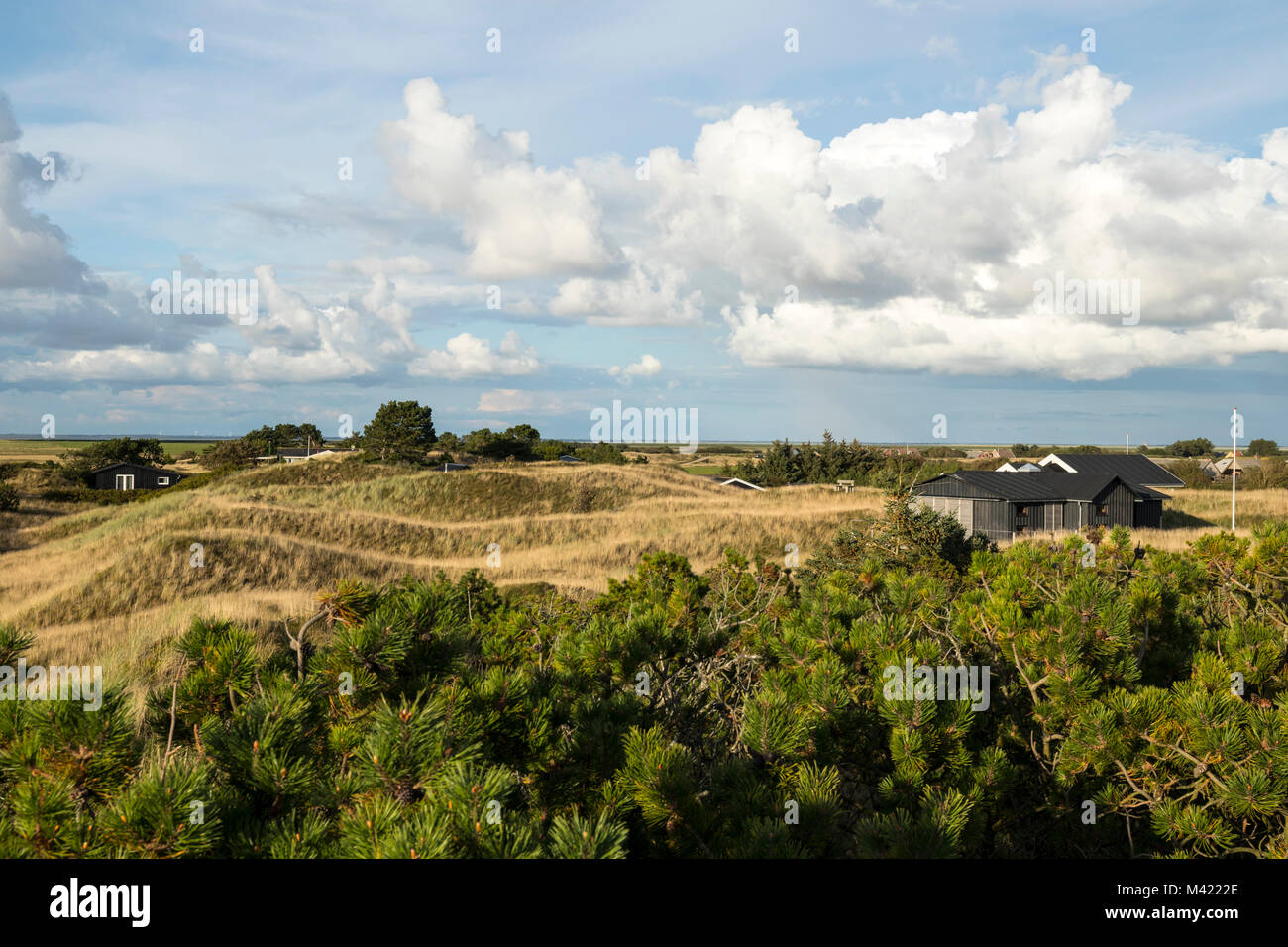 Ferienwohnungen in den Dünen, Mandø Stockfoto