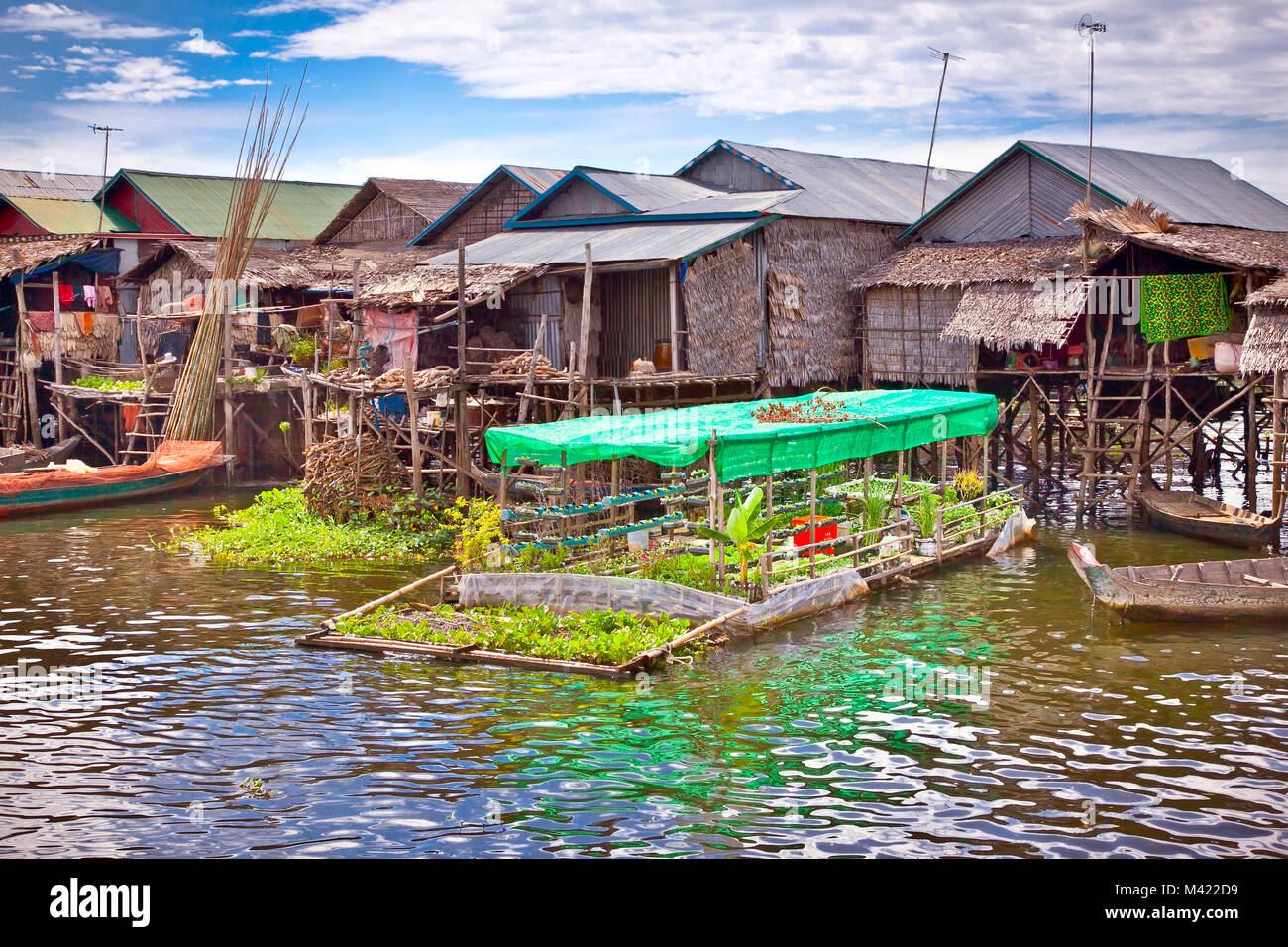 Die schwimmenden Gärten auf schwimmenden Dorf in den Tonle Sap See. Kambodscha. Stockfoto