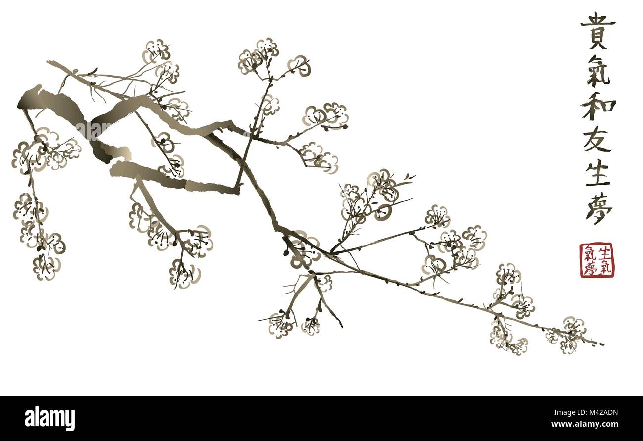 Filiale der blühenden Sakura. Japanische Kirsche Baum - Vector Illustration ehre Ideogramm ideogramm 1 = 2 = 3 = Harmonie Energie Ideogramm ideogramm 4 = Frie Stock Vektor