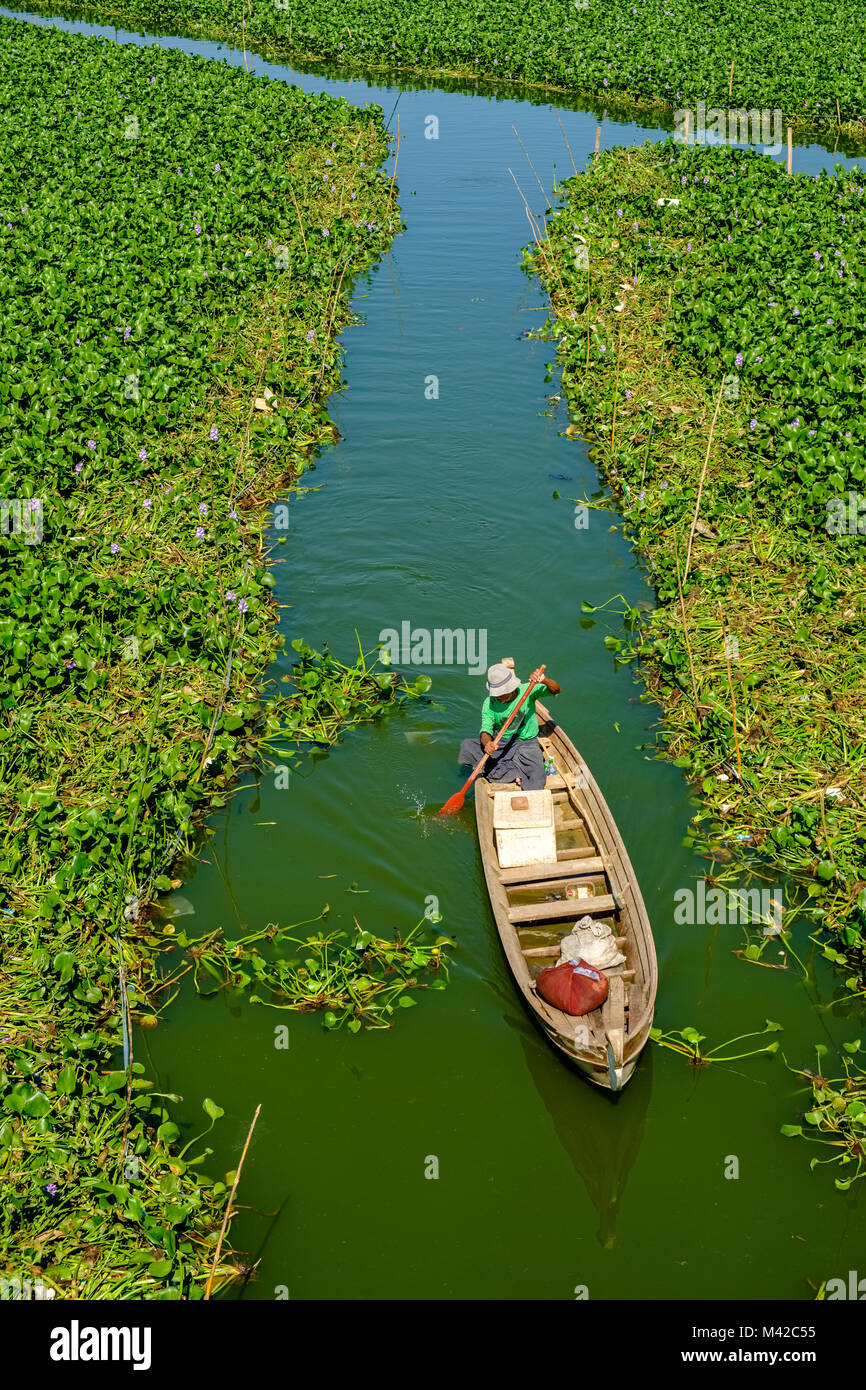 Ein Fischer ist Rudern sein Boot durch die grüne Vegetation auf Taungthaman See, von U-Bein Brücke aus gesehen Stockfoto