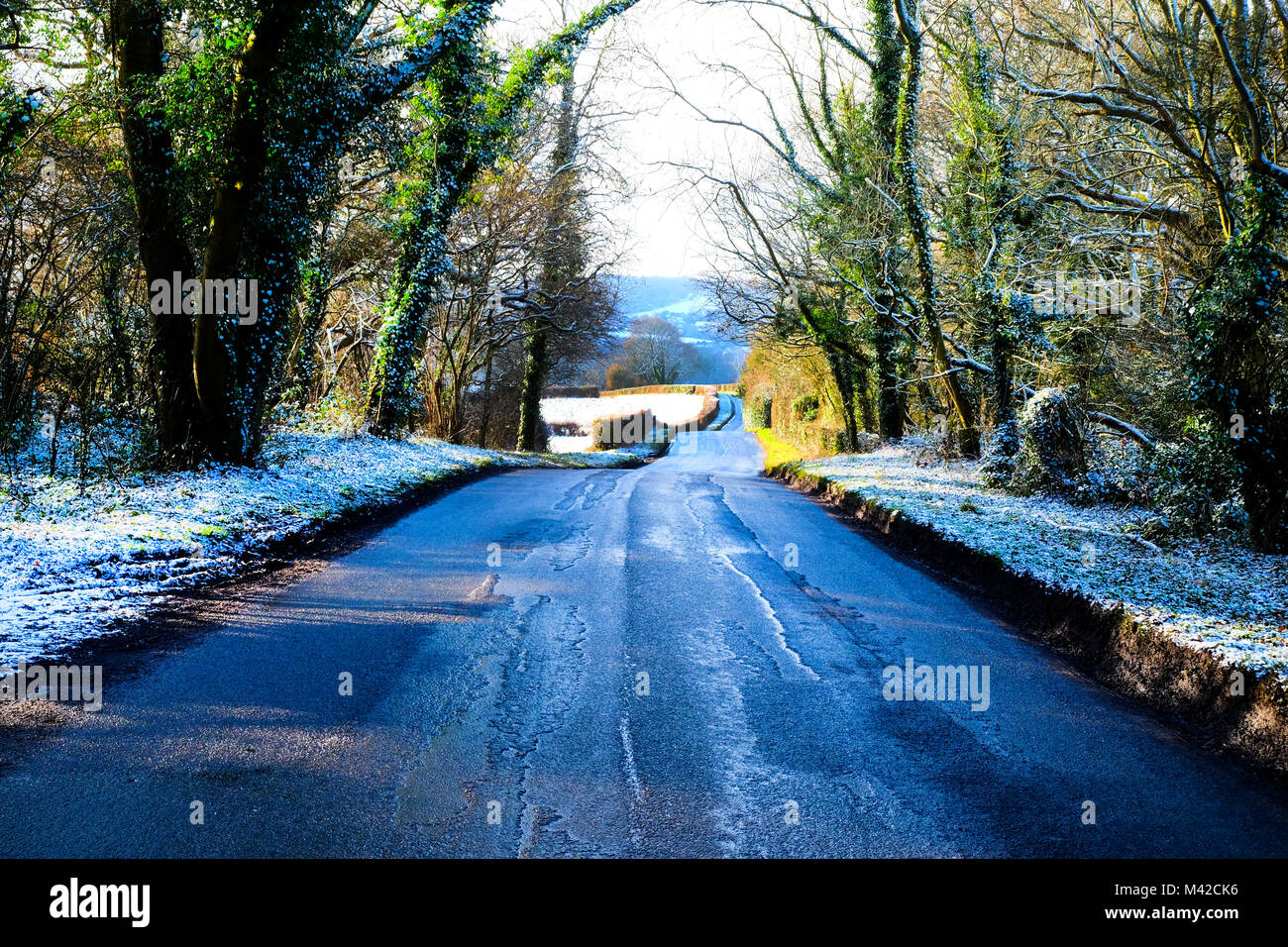 Einer von Bäumen gesäumten Country Lane mit Bergab, aspalt Patches auf der Straße, eine Schicht aus weißem Schnee auf jeder Seite auf dem Boden und Bäumen, niedrige Winte Stockfoto