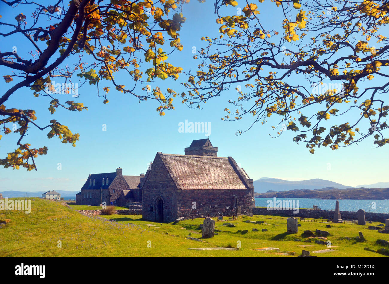 Iona Abbey, Schottland von hinter dem im Frühjahr gesehen. Stockfoto
