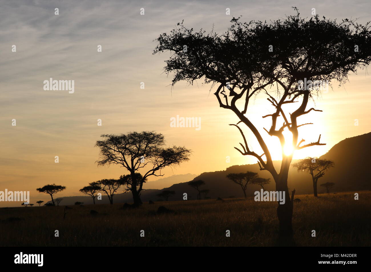 Sonnenuntergang in Kenia während unserer Flitterwochen auf einer Safari Stockfoto