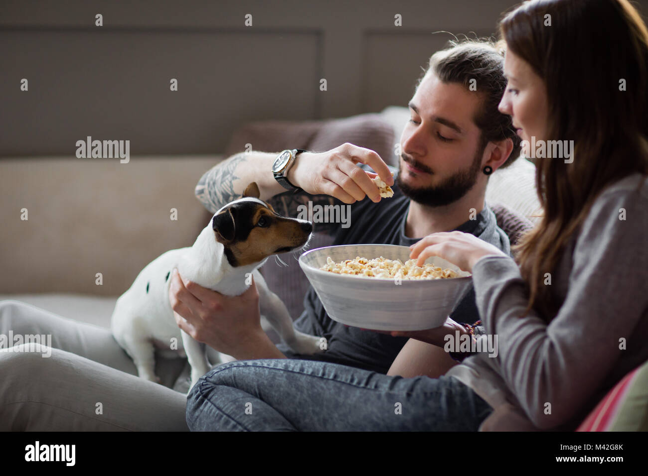 Junges Paar essen Popcorn mit Jack Russell Stockfoto
