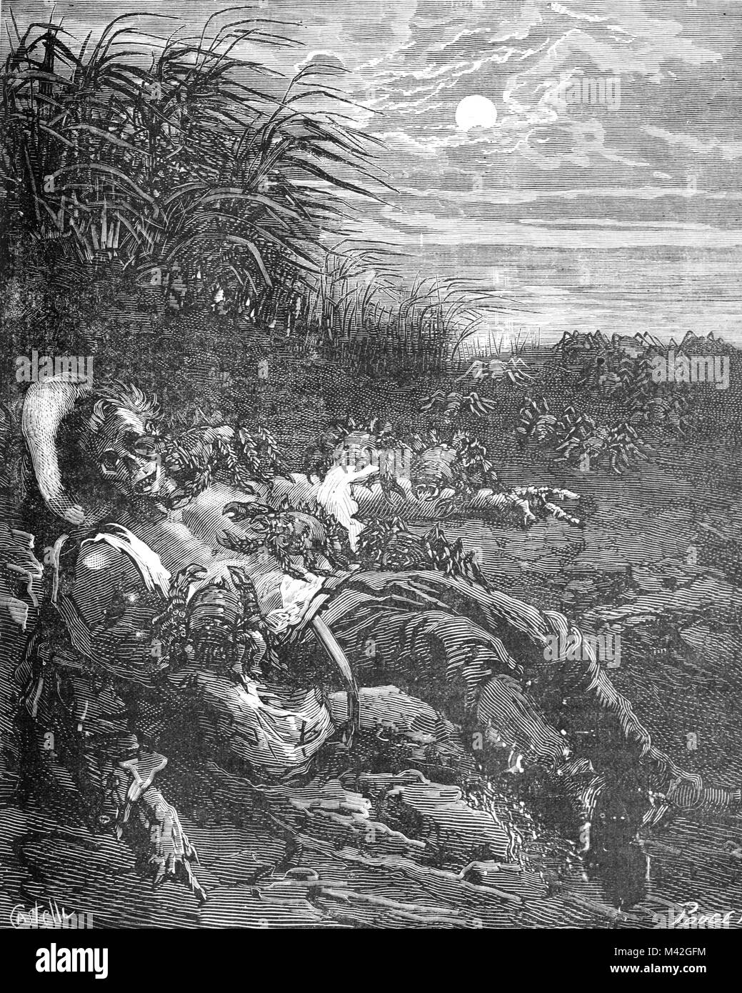 Seespinnen Verschlingen menschliche Leichen gewaschen oben an der Küste (Kupferstich von 1879) Stockfoto