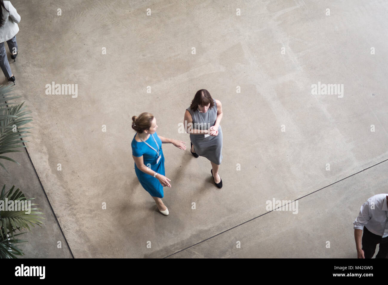 Overhead shot von zwei Unternehmerinnen gehen durch ein Büro Stockfoto