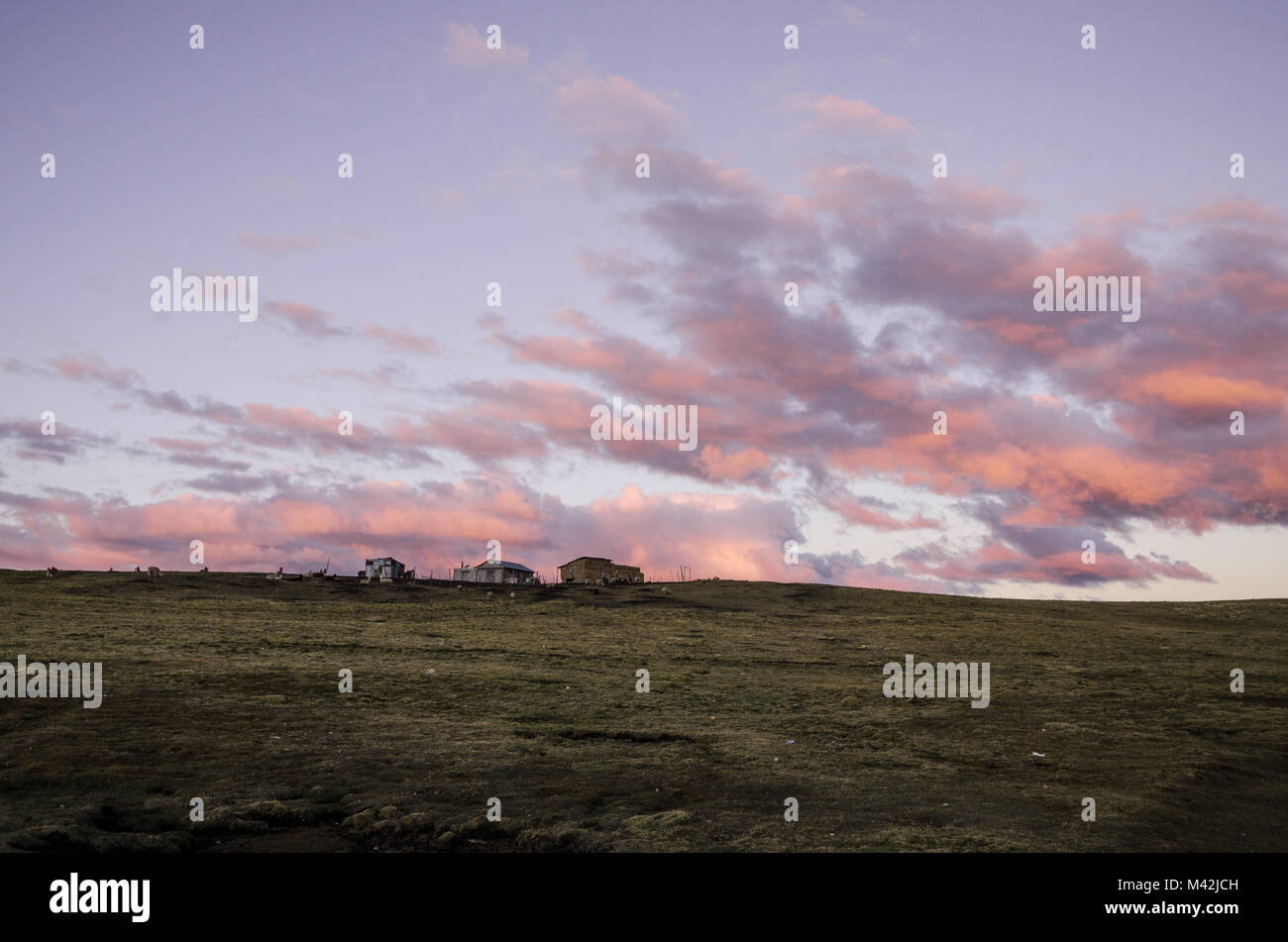 Landschaft von einer Wiese in Cerro von Pasco - Peru Stockfoto