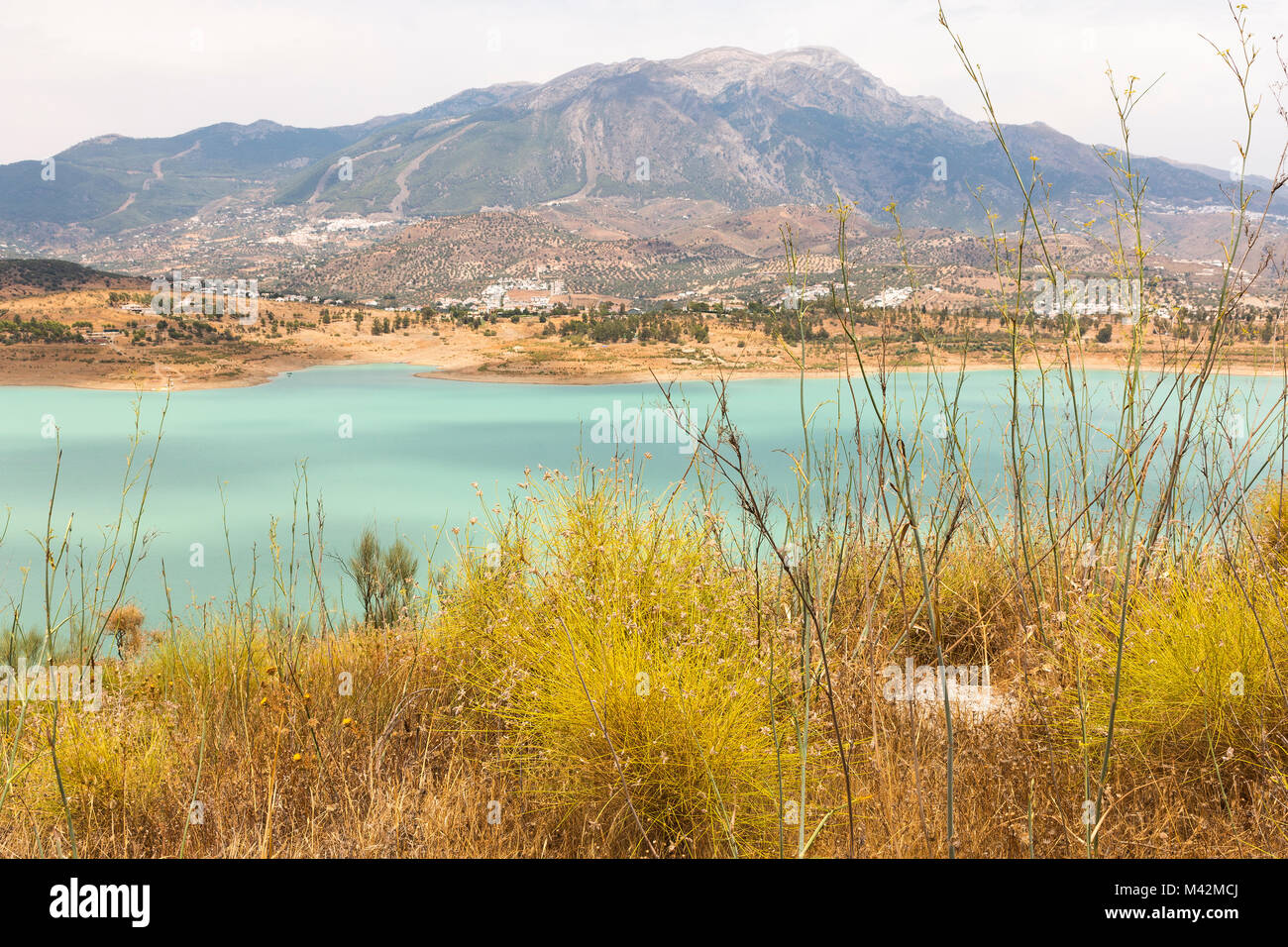 Ein Blick auf die Sierra de Tejeda Gebirge gesehen durch das Buschland rund um den See Vinuela in der Provinz Malaga, Andalusien, Spanien Stockfoto