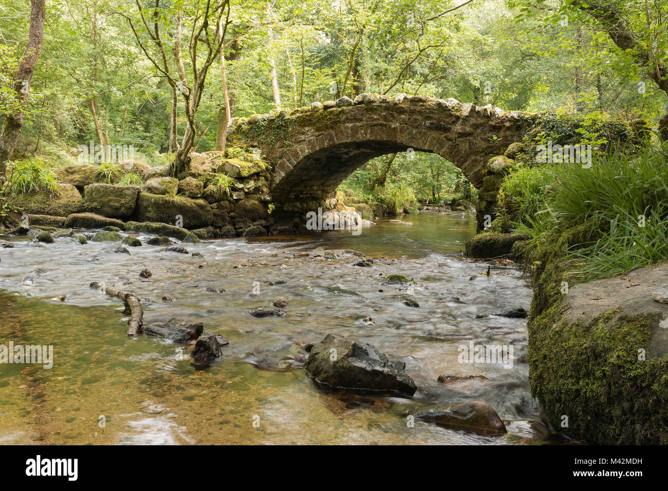 Ein Bild der Brücke Hisley, Nationalpark Dartmoor, Devon, England, UK. Stockfoto