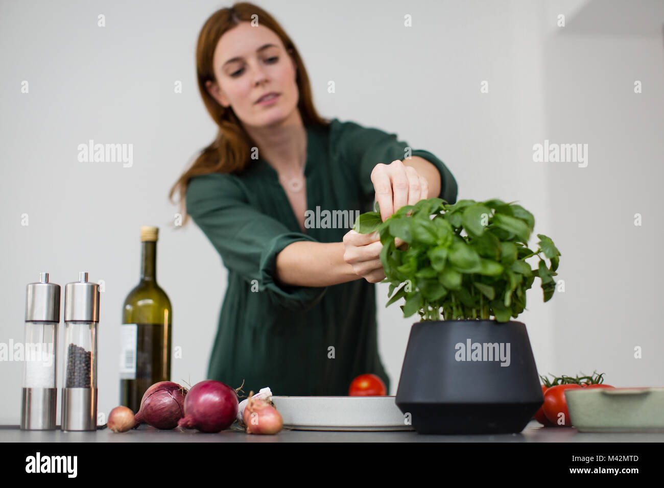 Erwachsene Frau Kommissionierung frisches Basilikum Stockfoto