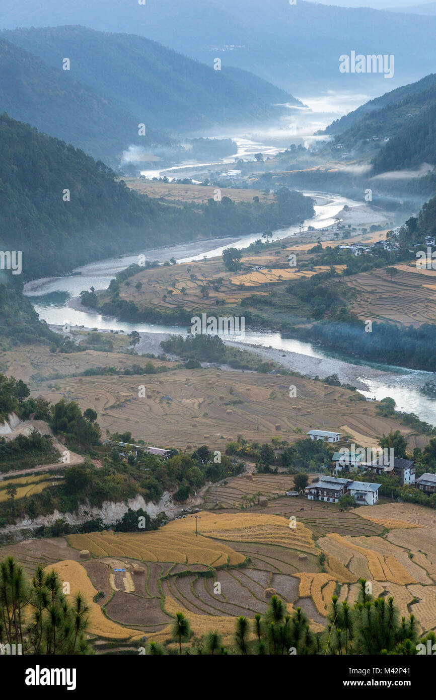 Punakha, Bhutan. Morgennebel in der Mo River Valley. Stockfoto