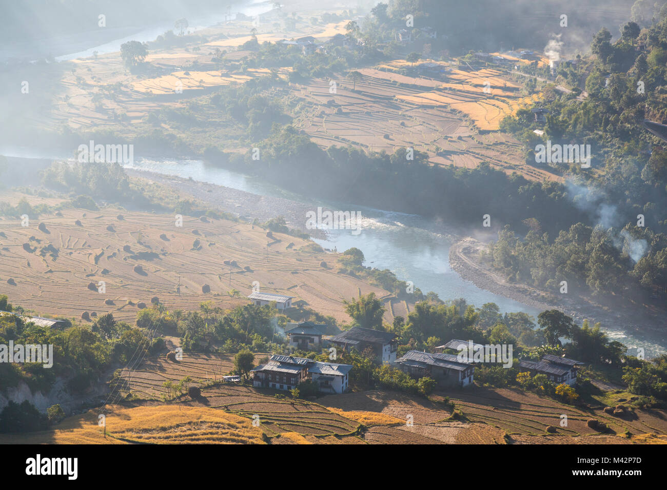 Punakha, Bhutan. Mo River Reisfeldern gesehen, durch frühen Morgen Dunst und Holz Feuer Rauch. Stockfoto