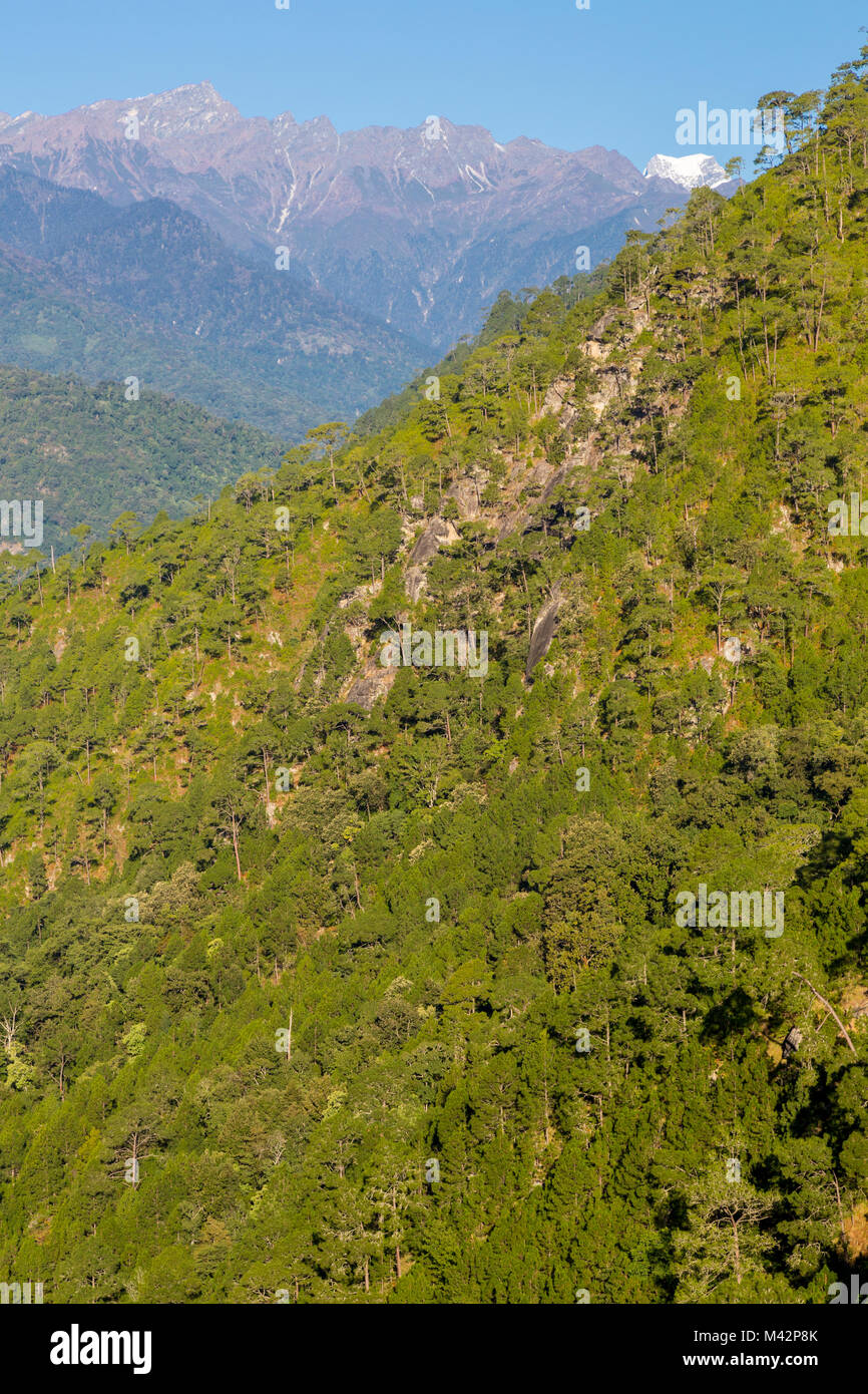 Punakha, Bhutan. Himalayan Foothills oberhalb der Mo River Valley. Stockfoto