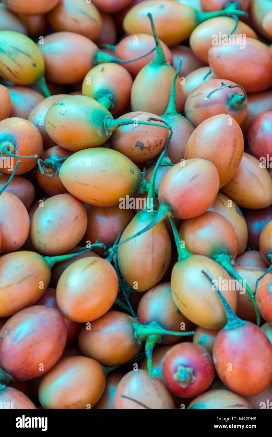 Punakha, Bhutan. Tamarillo, oder Baum Tomate (Solanum Betaceum), in der Obst- und Gemüsemarkt. Stockfoto