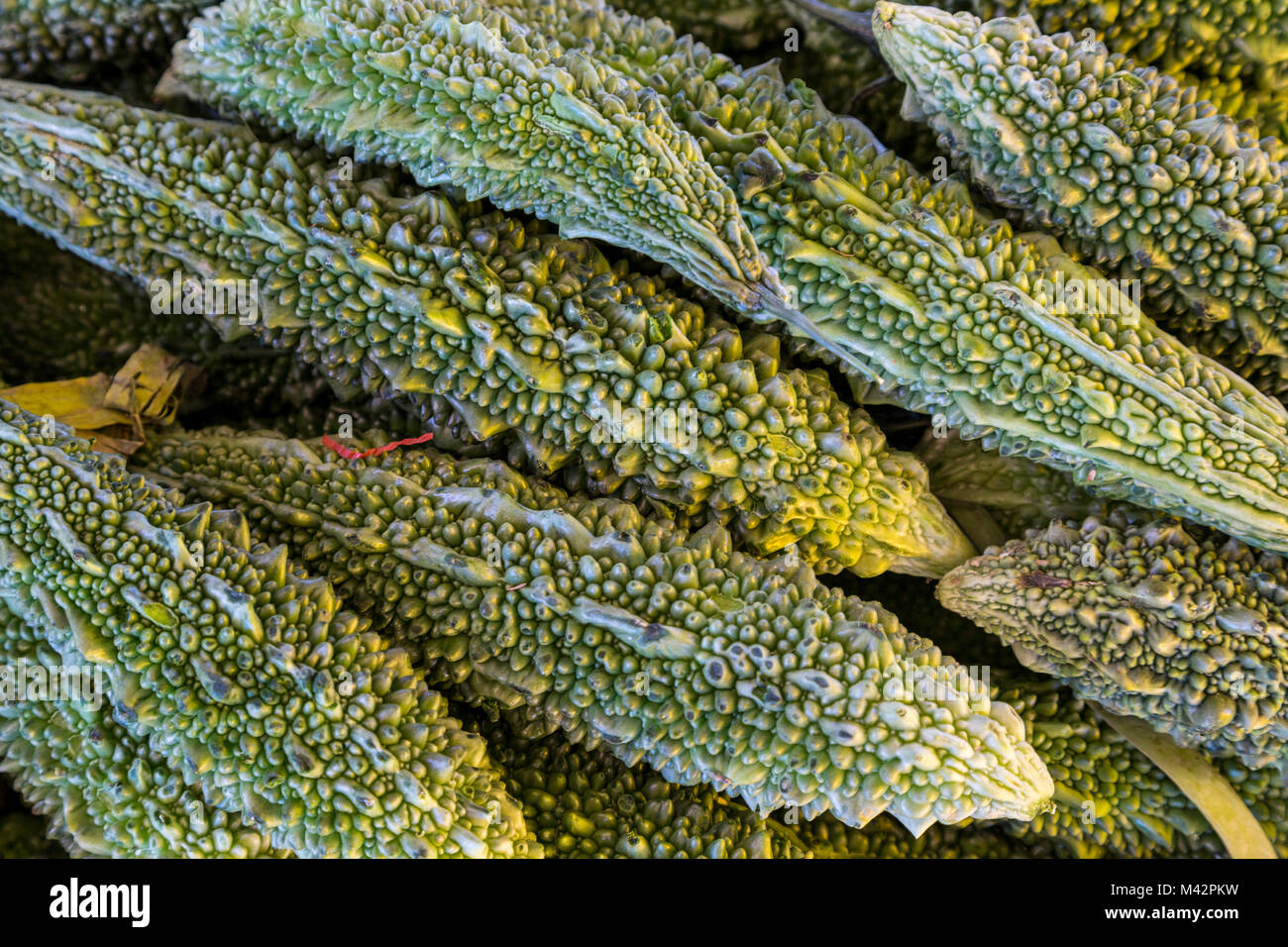 Punakha, Bhutan. Obst- und Gemüsemarkt, Bitter Melone (momordica Charantia) (auch bitteren Kürbis, Bitter Squash, Balsam Birne). Stockfoto