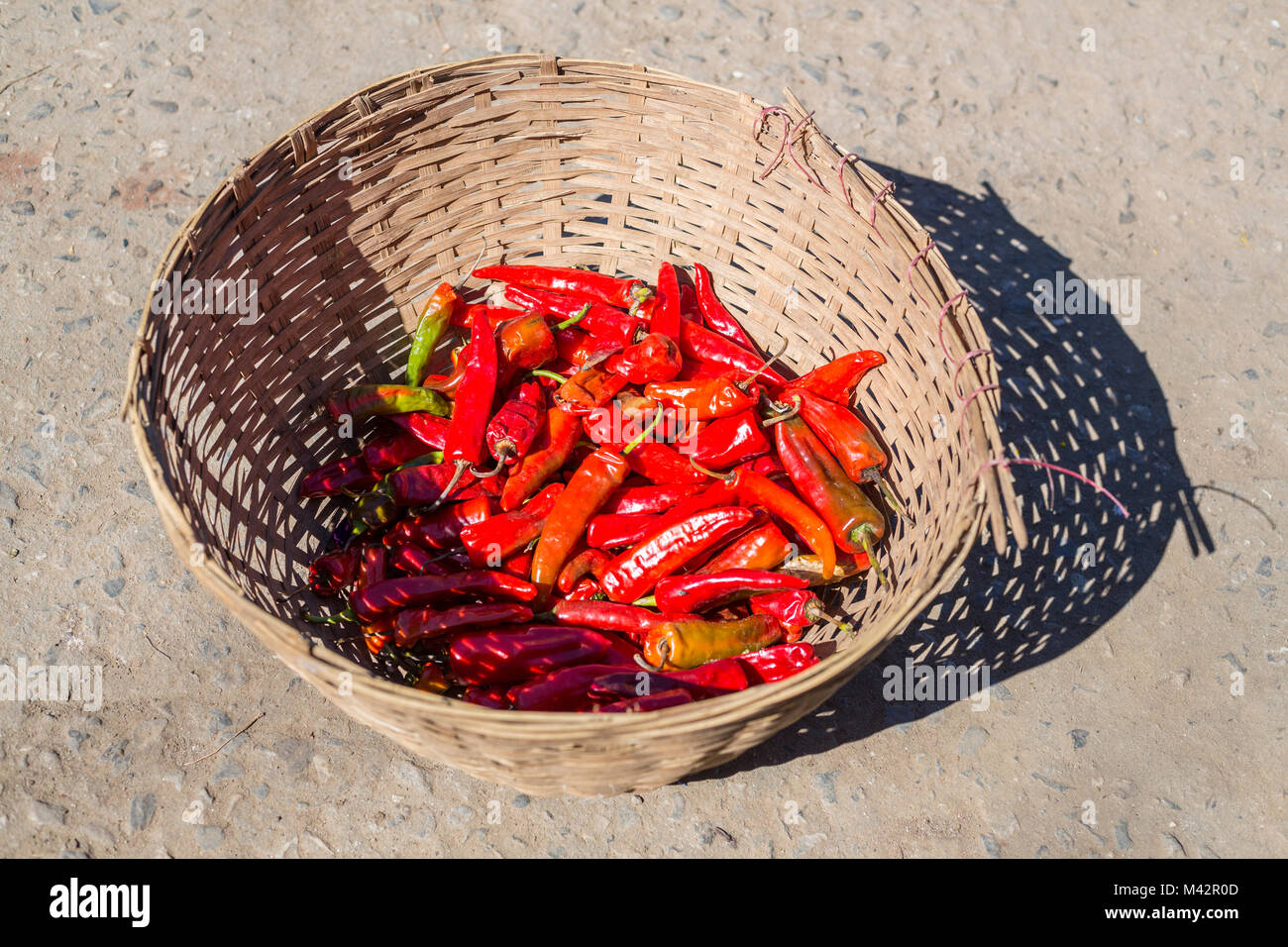 Punakha, Bhutan. Red Chili Peppers in Korb, Lobeysa Markt. Stockfoto