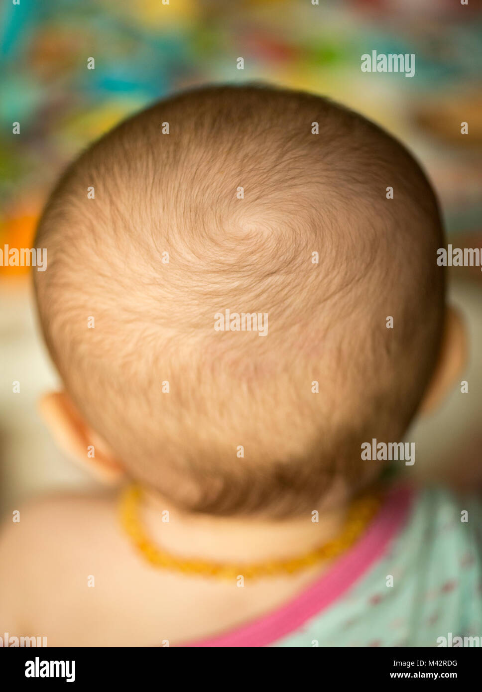 Neues Haar wächst in einem Strudel auf der ein kleines Baby den Kopf. Stockfoto