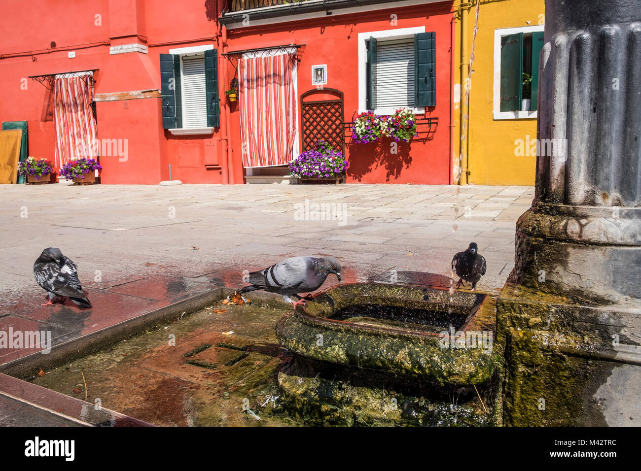 Burano, Venedig, Venetien, Italien, Norden und Osten Europas. Brunnen vor einem typischen farbigen Fassade. Stockfoto