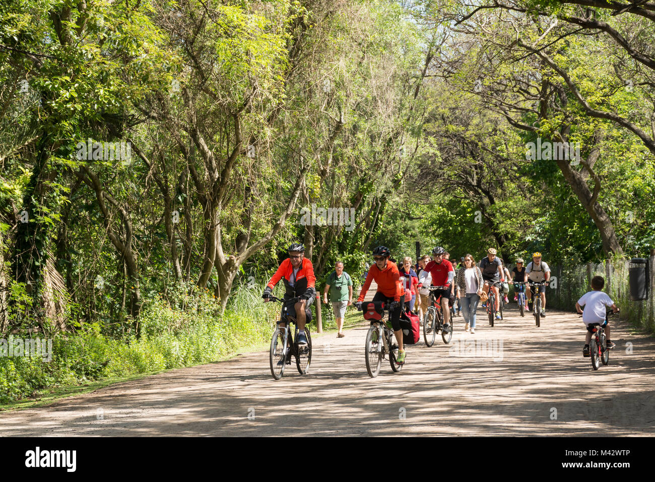 Menschen Radfahren in Costanera Sur Ecological Reserve, Buenos Aires, Argentinien Stockfoto