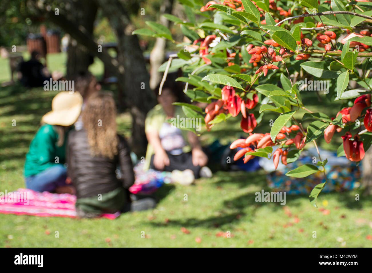 Menschen mit einem Picknick in Buenos Aires Costanera Sur Ecological Reserve, Argentinien Stockfoto
