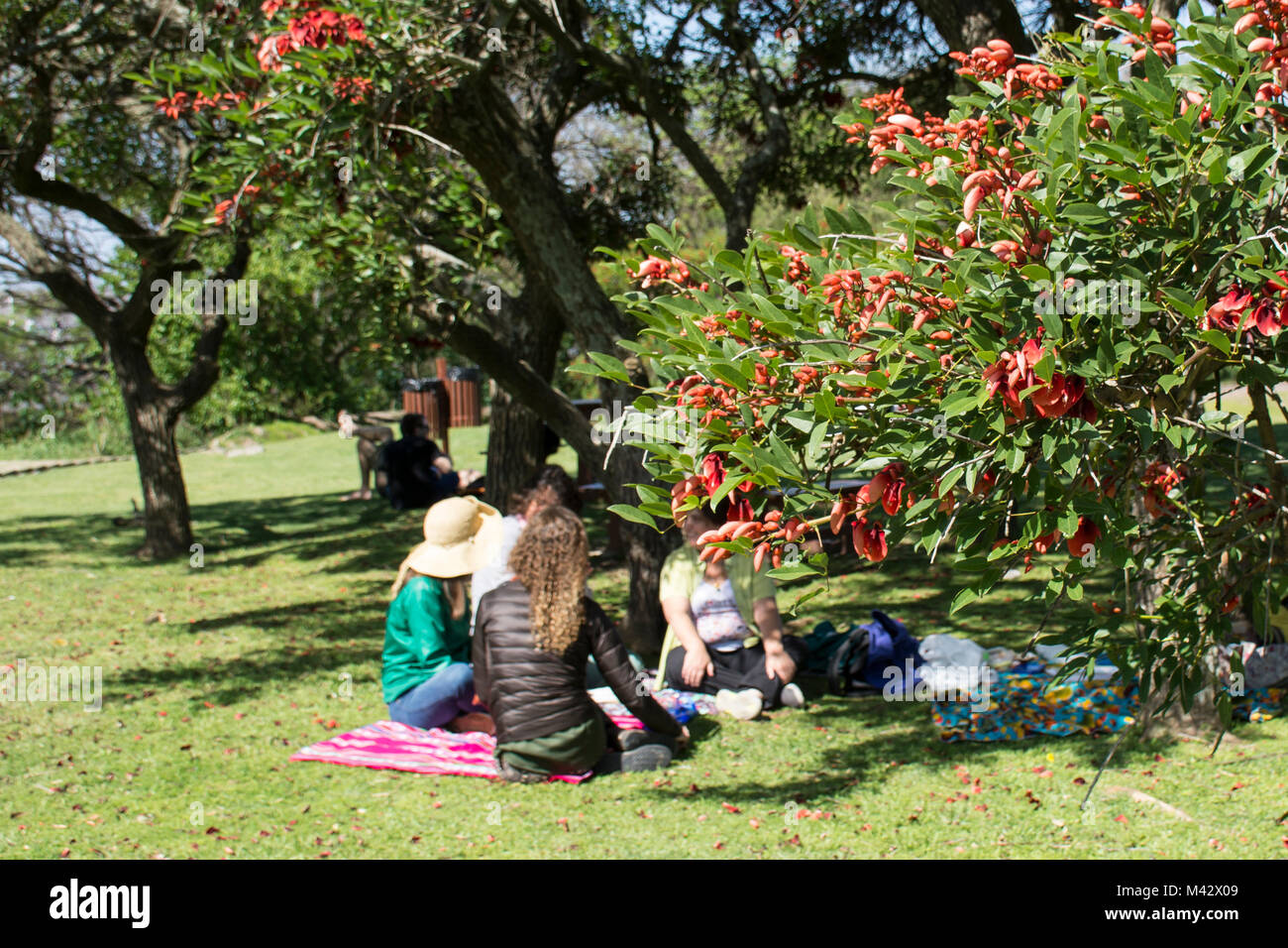 Menschen mit einem Picknick in Buenos Aires Costanera Sur Ecological Reserve, Argentinien Stockfoto