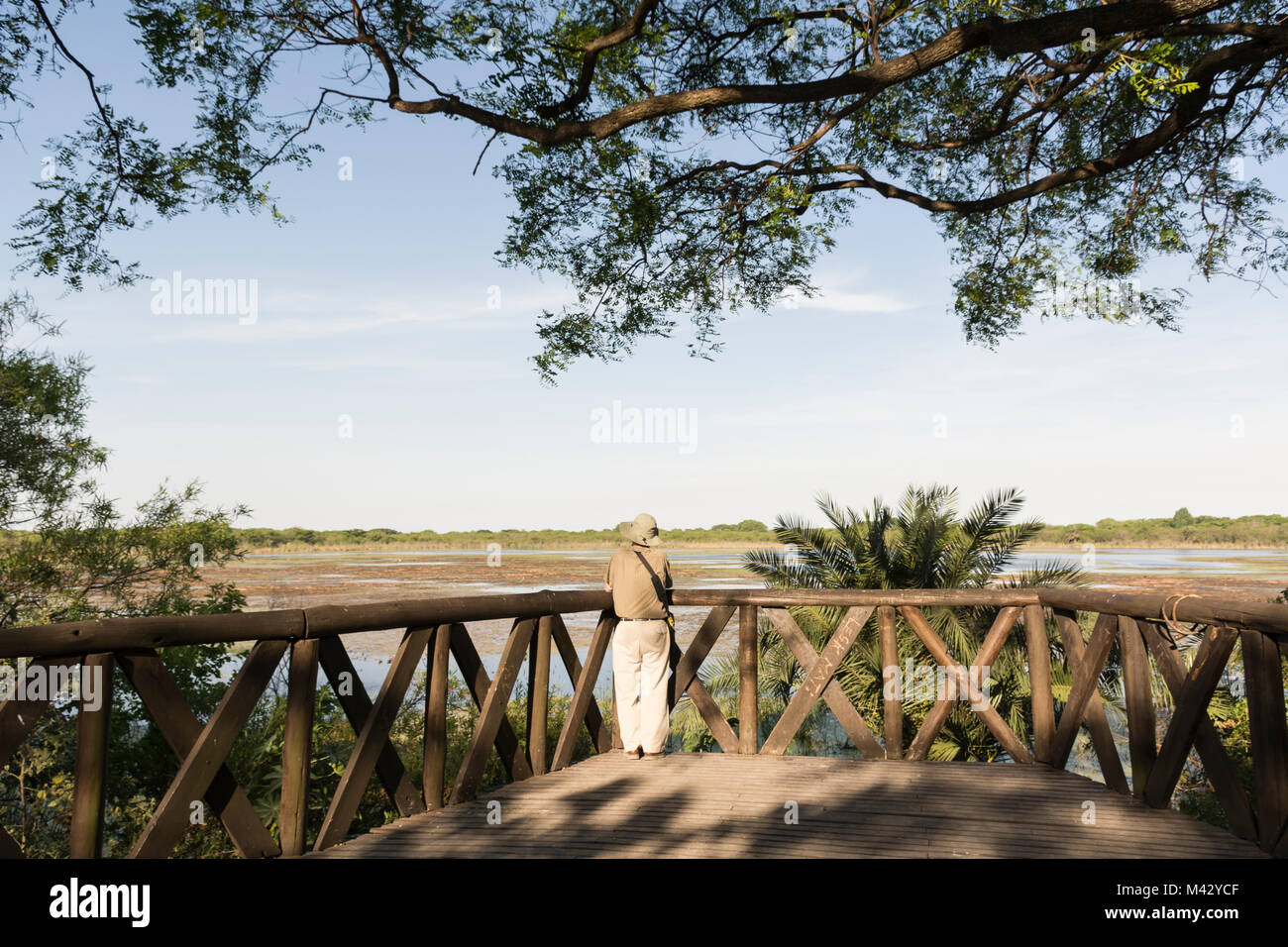 Ein alter Mann mit Blick auf den See, Buenos Aires Costanera Sur Ecological Reserve, Argentinien Stockfoto