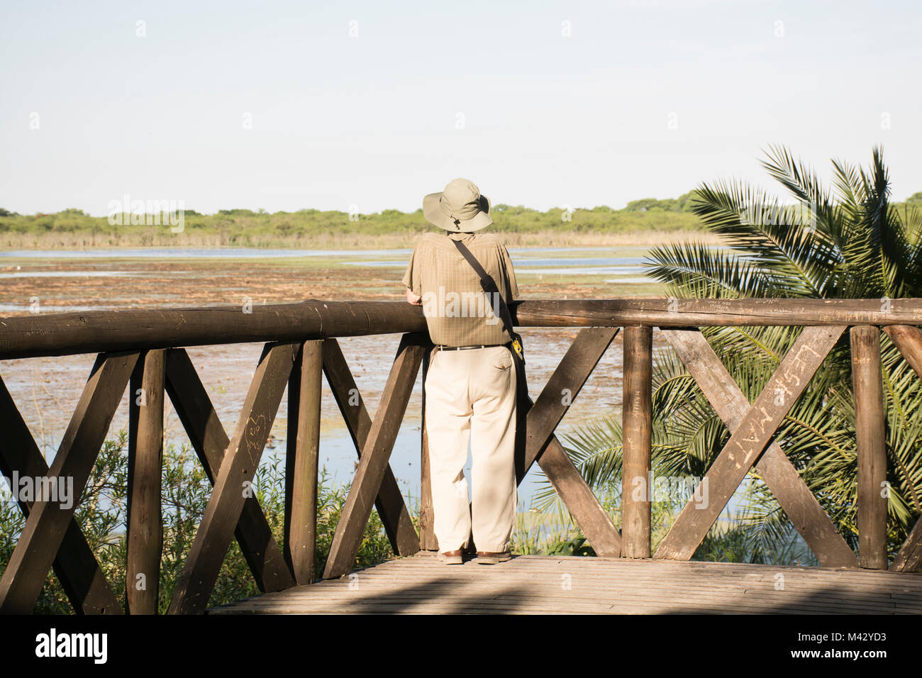 Ein alter Mann mit Blick auf den See, Buenos Aires Costanera Sur Ecological Reserve, Argentinien Stockfoto