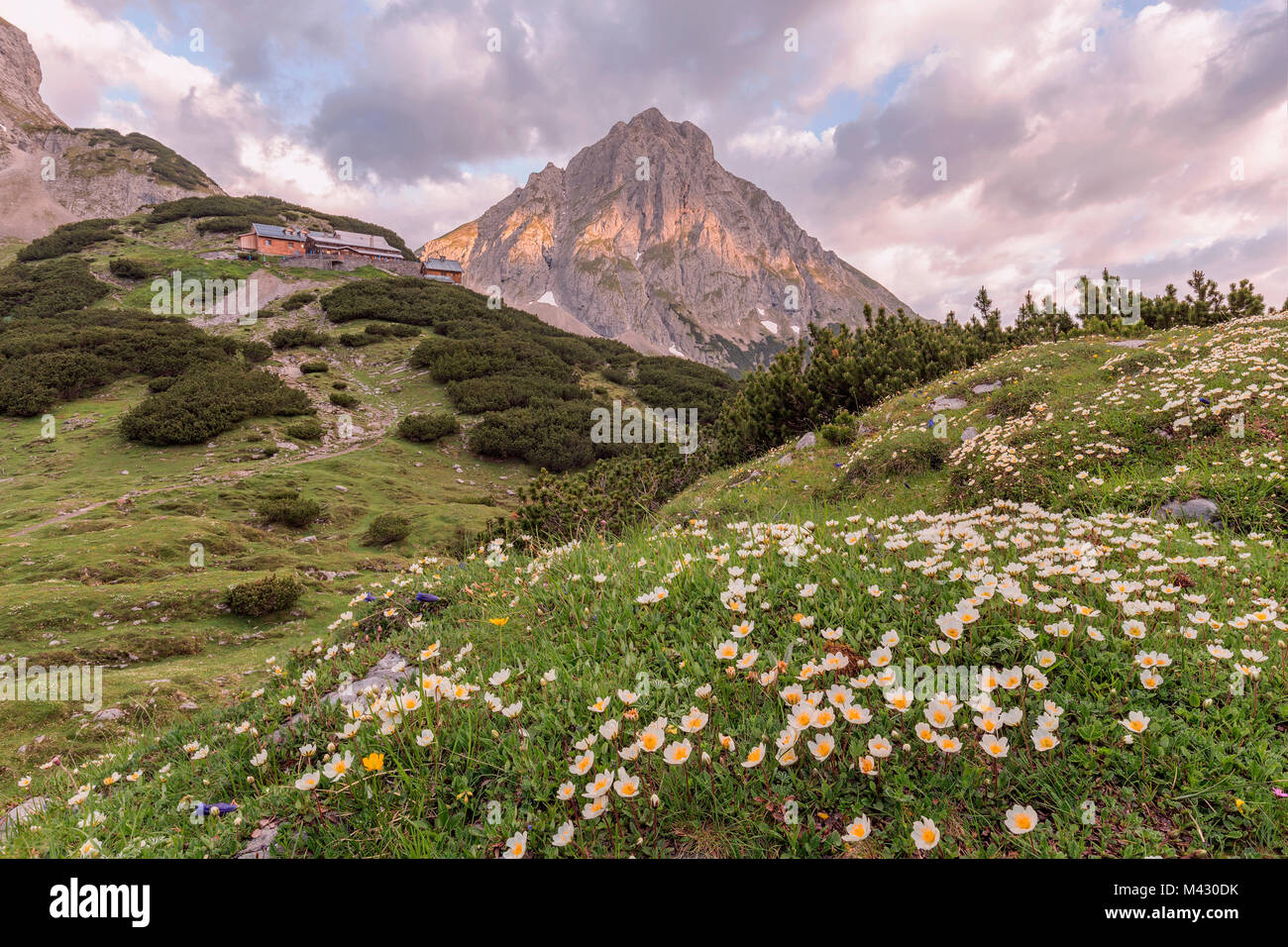 Drachensee, Mieming, Imst, Tirol - Tirol, Österreich Stockfoto