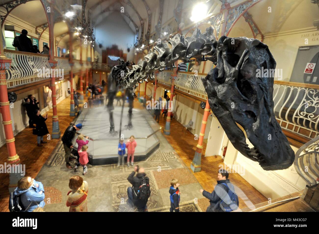 Dorset County Museum, Großbritannien. 14. Februar, 2018. Menschenmassen besuchen Dippy der Diplodocus in Dorset County Museum, UK Credit: Finnbarr Webster/Alamy leben Nachrichten Stockfoto