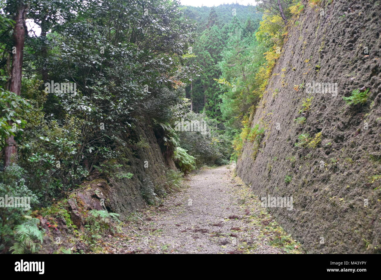 Erstaunlich und spirituellen Japan, wandern die alten 1000-jährige Kumano Kodo" Nakahechi route" als kaiserlicher trail Kii Halbinsel, südlichen Japan bekannt Stockfoto