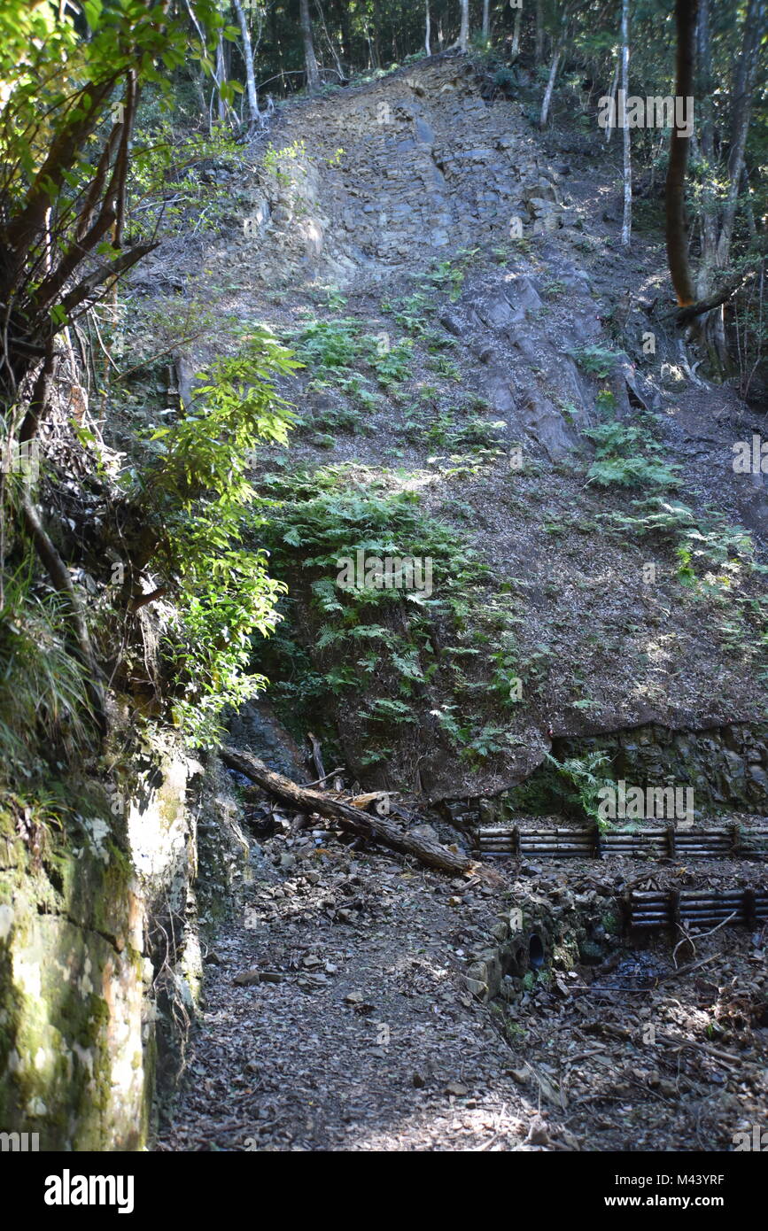 Erstaunlich und spirituellen Japan, wandern die alten 1000-jährige Kumano Kodo" Nakahechi route" als kaiserlicher trail Kii Halbinsel, südlichen Japan bekannt Stockfoto