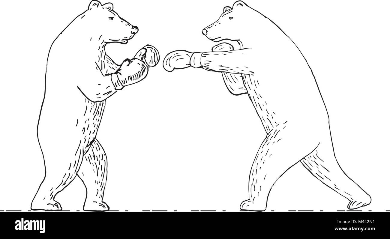 Zeichnung Skizze stil Abbildung von zwei Grizzly bear Boxer boxen Stanzen von Seite auf isolierten Hintergrund in Schwarz und Weiß. Stock Vektor