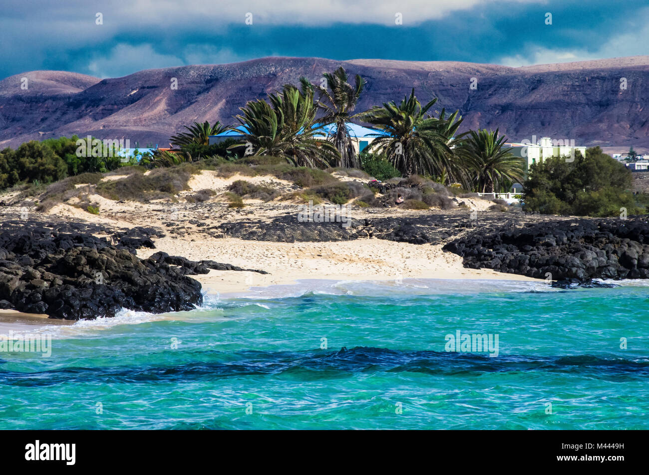 Tropischer Strand mit Palmen, mit Blick auf eine unglaublich blaue Meer auf den Kanarischen Inseln, Spanien Stockfoto