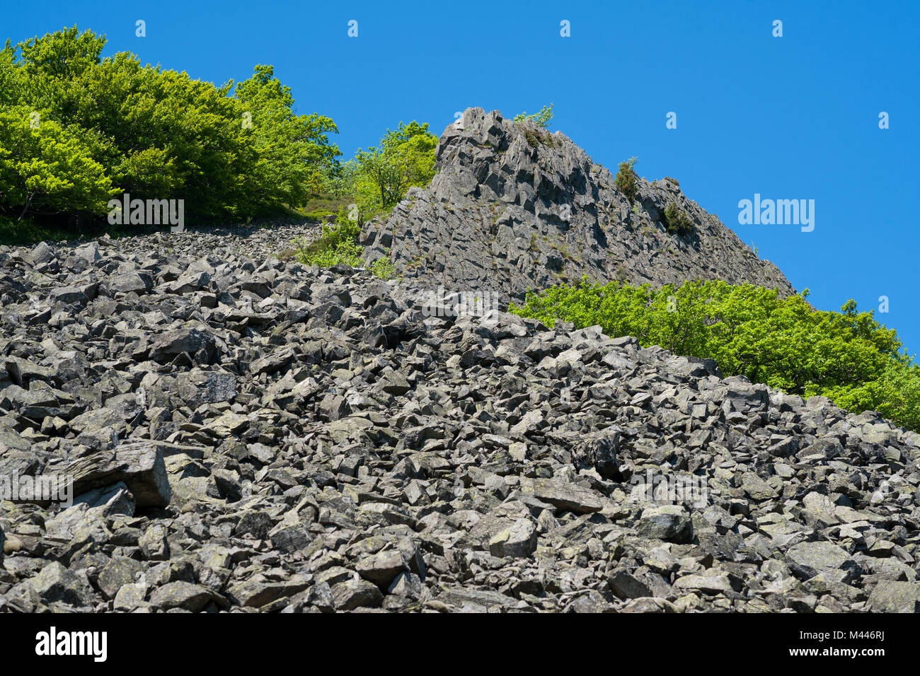 Block heap an der Milseburg Milseburg Berge, Naturpark, Biosphärenreservat Rhön, Hessen, Deutschland Stockfoto