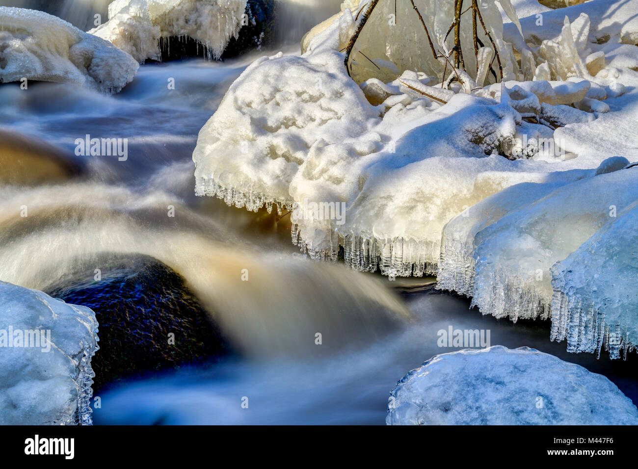 Nature's winter Art. Stockfoto