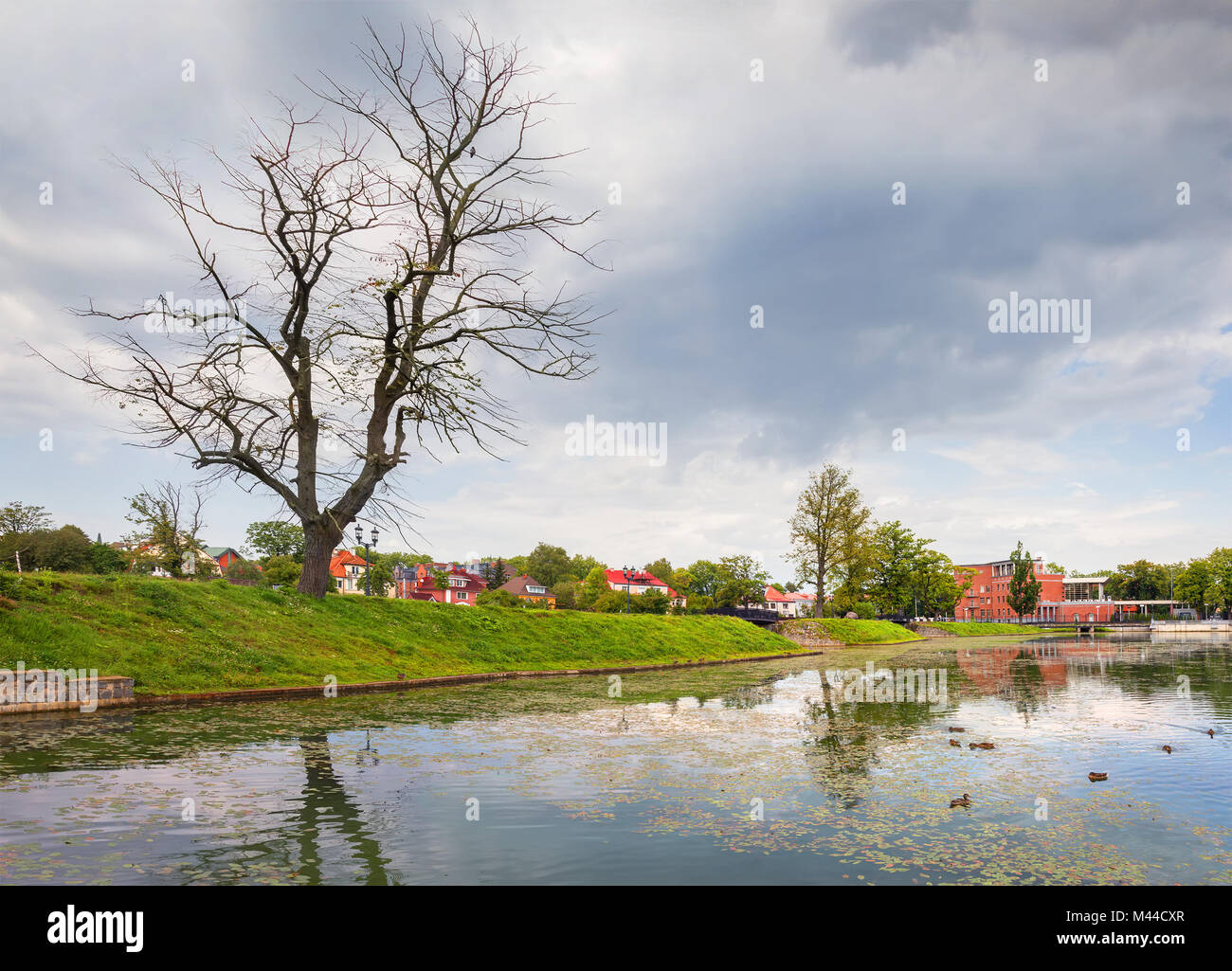 Poplavok Teich in Kaliningrad. Russland. Stockfoto