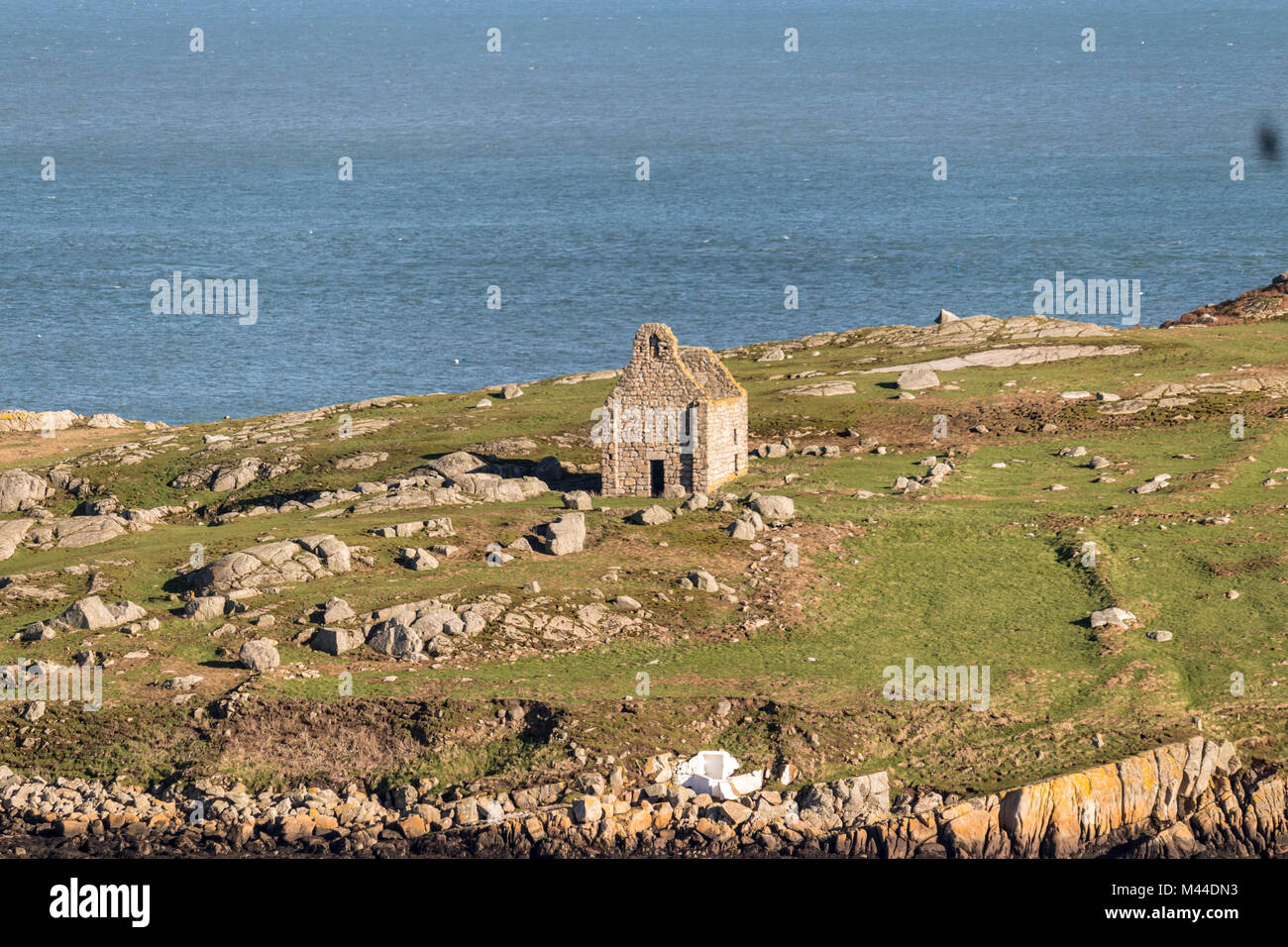 Kirchenruine auf Dalkey Island. Die Insel liegt ca. 10 km südlich von Dublin City. Ein wichtiger Ort der Wallfahrt für Jahrhunderte. Stockfoto