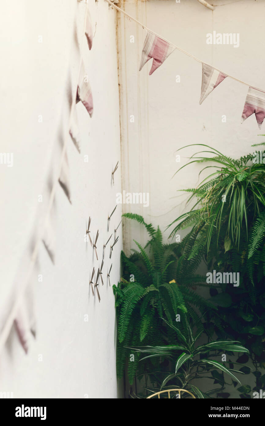 Von oben betrachten von Pflanzen in Töpfen Stockfoto