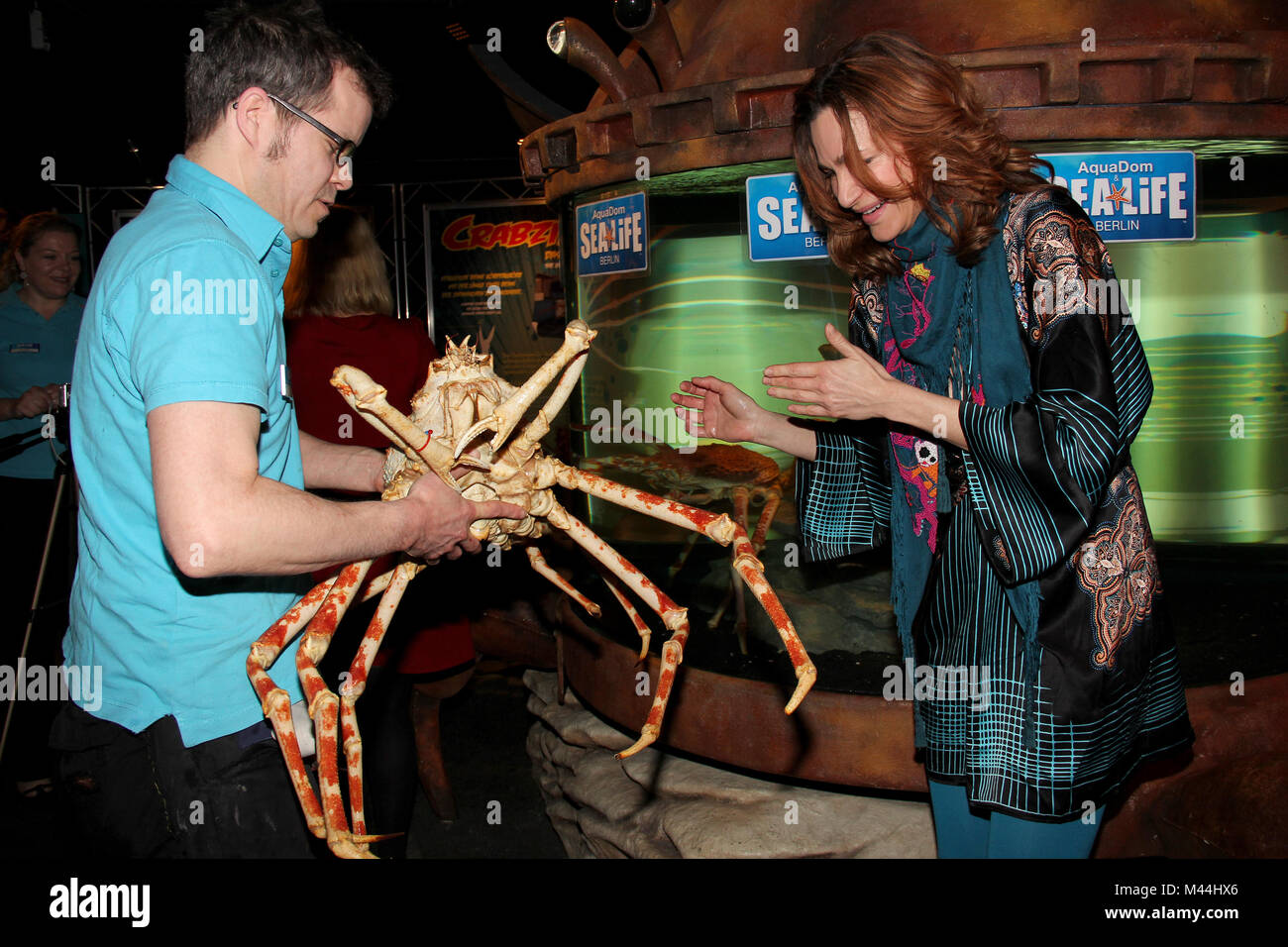 Spidercrabs SEA LIFE Berlin, Alexandra Kamp Stockfoto