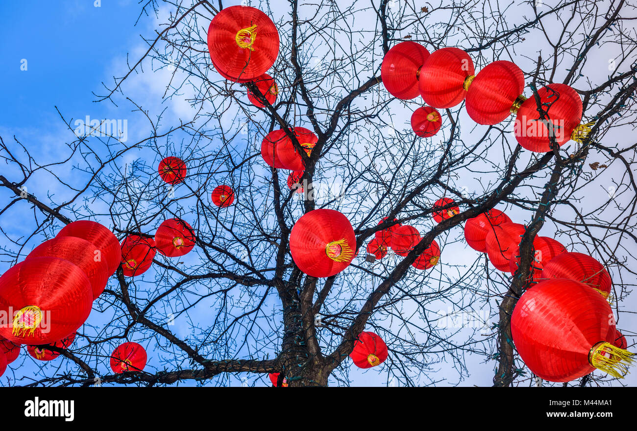 Chinesische Laternen von einem Baum im Stadtzentrum von Liverpool 2018 hing das chinesische Neujahr zu feiern. Stockfoto
