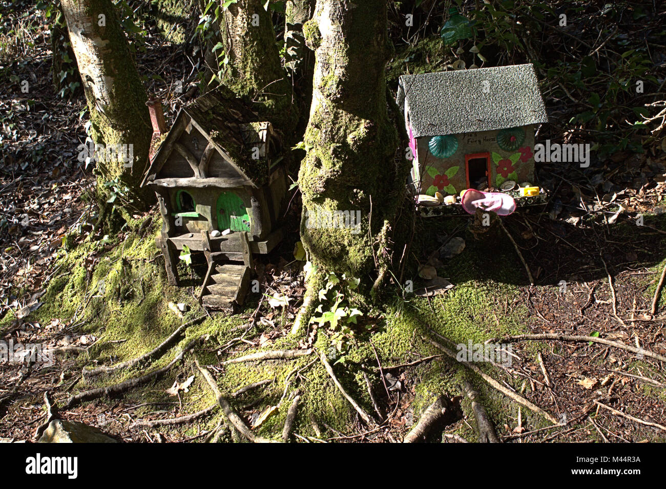 Fairy Häuser links im Wald. Irland hat eine Geschichte der Häuser im Holz für den Wald Feen Links zum Leben. Stockfoto