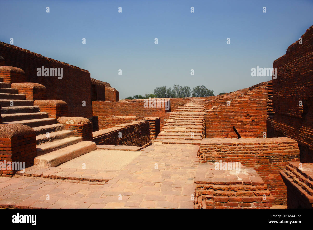 Ruinen von Nalanda Universität Bihar, Indien Stockfoto